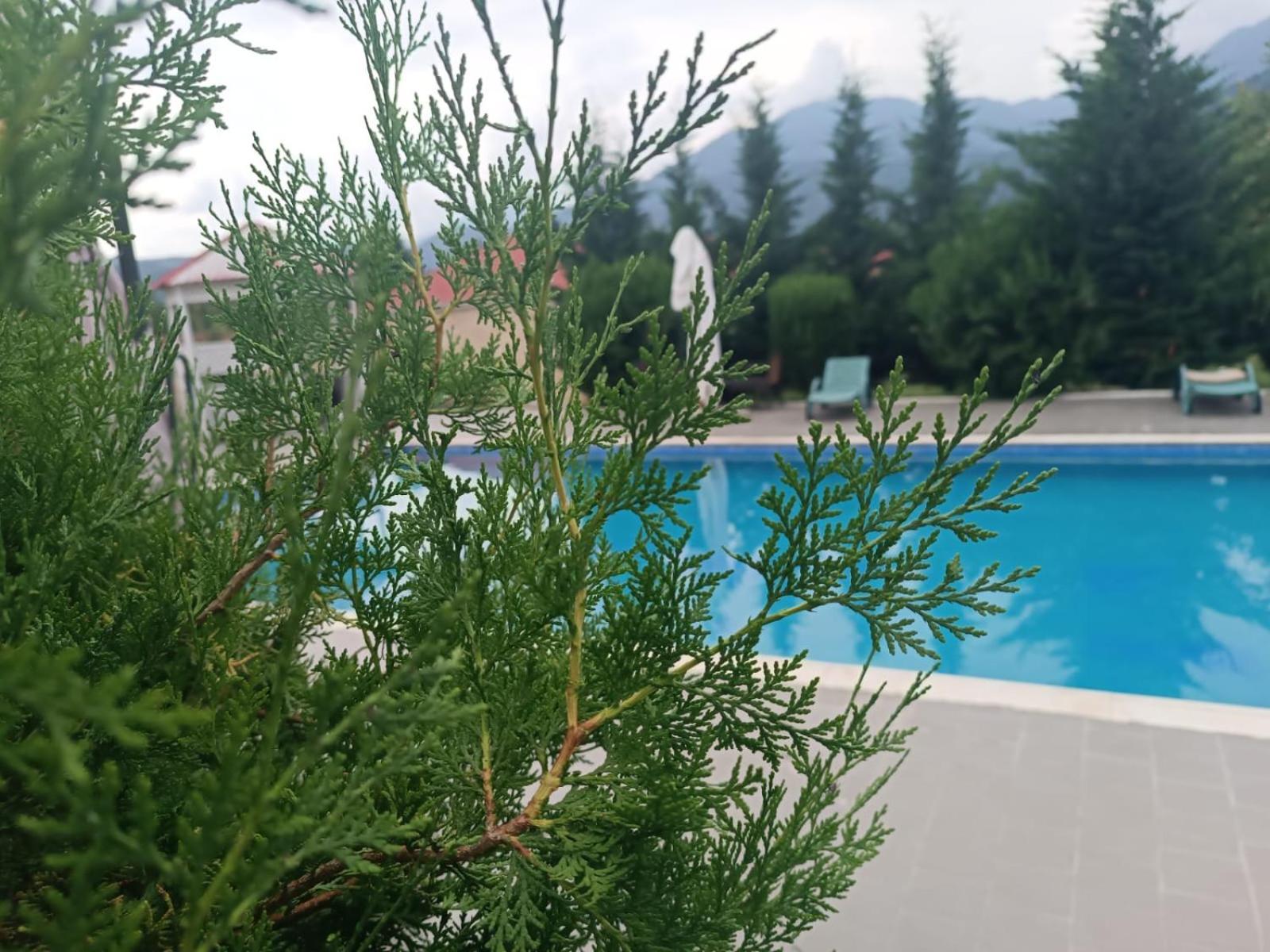 Gabala Bliss Inn Hotel And Restaurant Εξωτερικό φωτογραφία