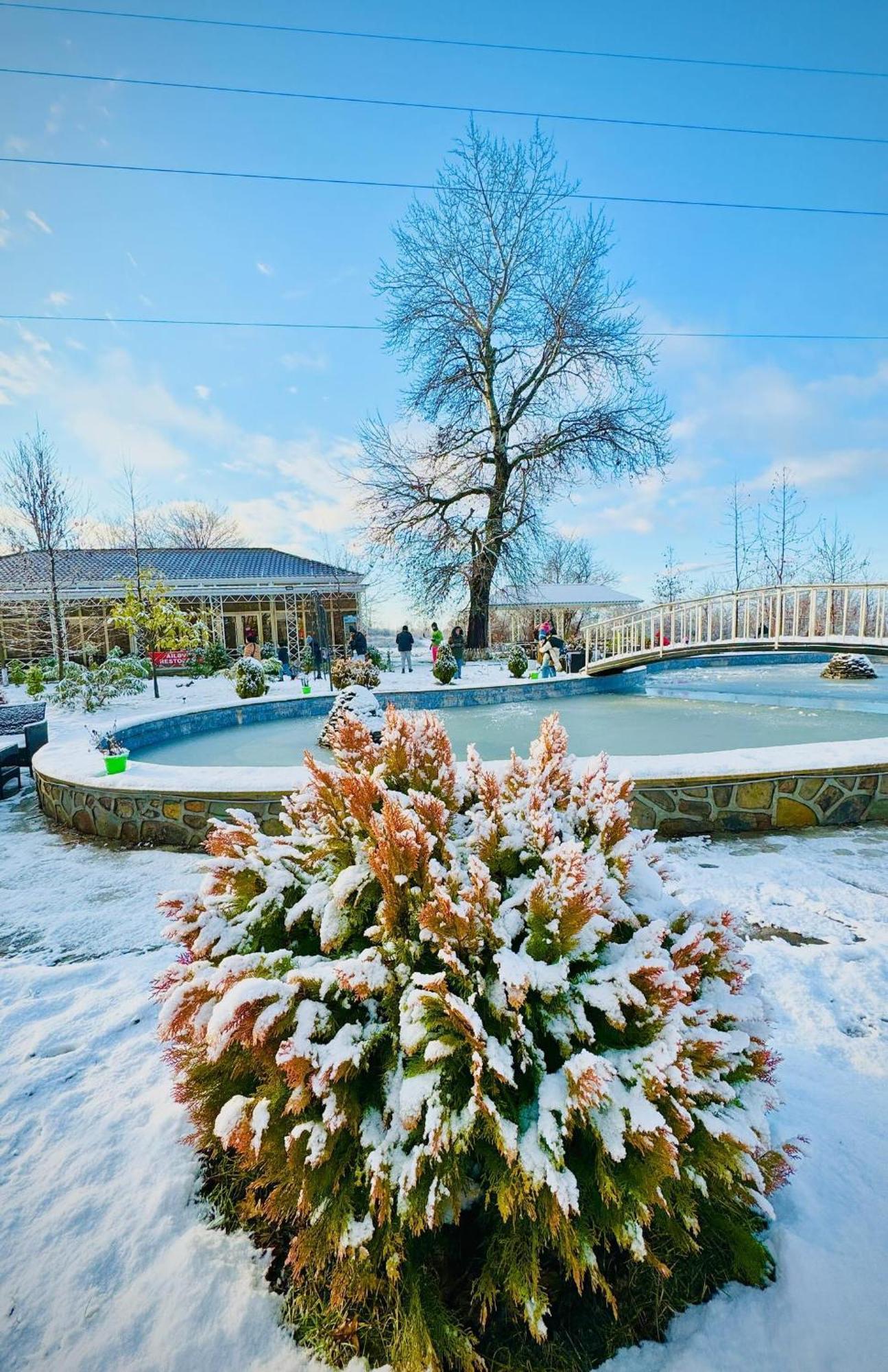 Gabala Bliss Inn Hotel And Restaurant Εξωτερικό φωτογραφία