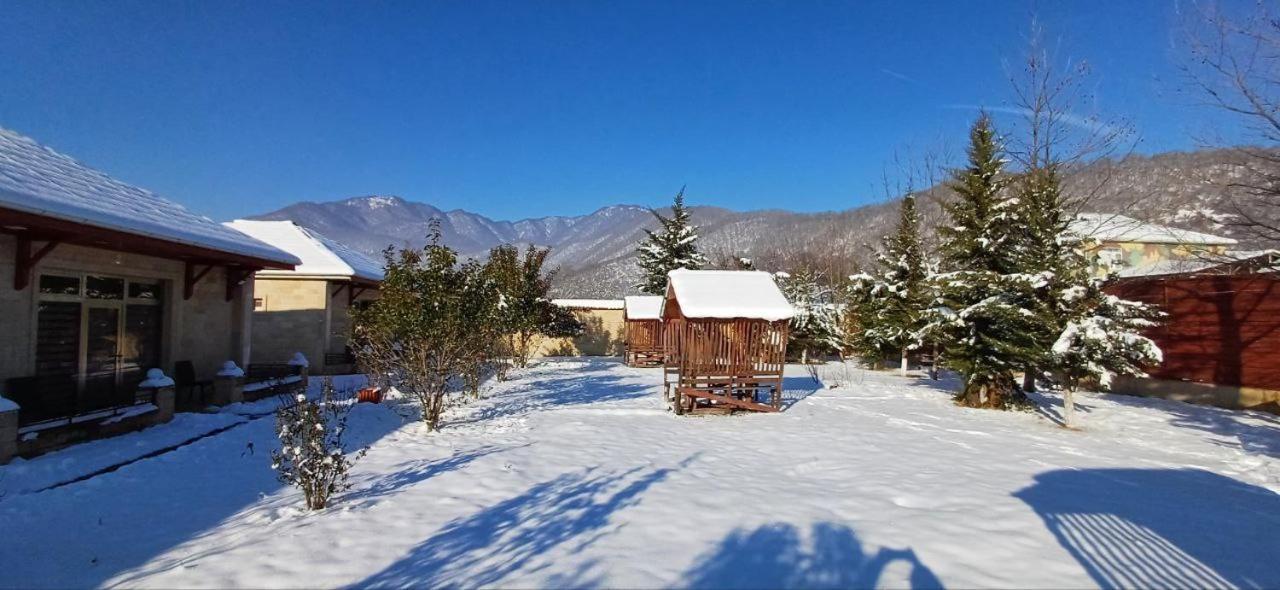Gabala Bliss Inn Hotel And Restaurant Εξωτερικό φωτογραφία